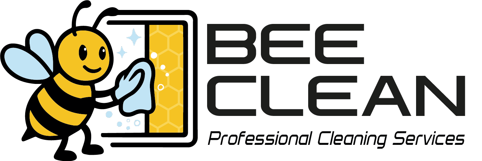 Professional Təmizlik Xidməti